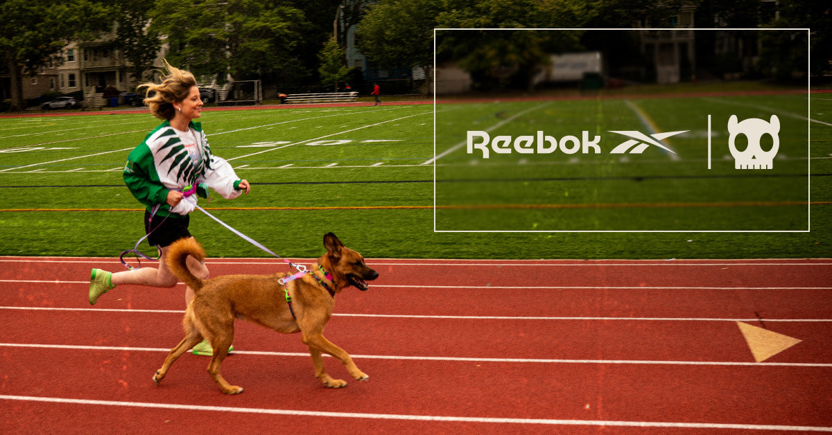 Reebok x Zee.Dog – SgPetstop