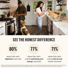 Honest Kitchen - Whole Food Clusters Cat Grain-Free Turkey & Chicken
