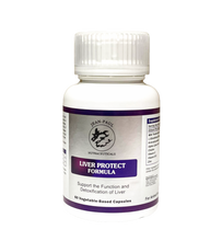 Jean-Paul Nutraceuticals Liver Protect Formula