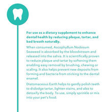Loyalty & Co. Dental Plus 70g