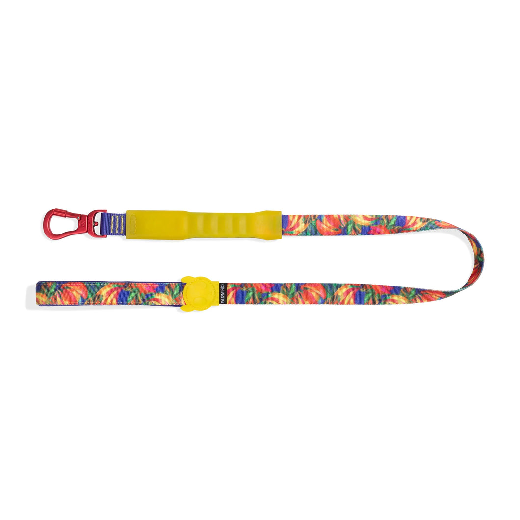 ZeeDog Air-Leash - Samba