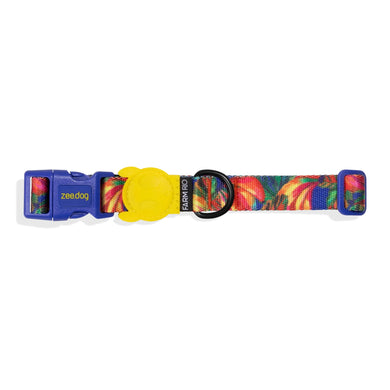ZeeDog Dog Collar - Samba