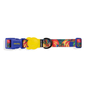 ZeeDog Dog Collar - Samba