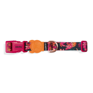 ZeeDog Dog Collar - Selva
