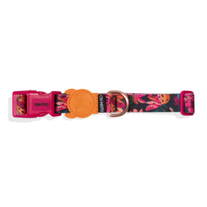 ZeeDog Dog Collar - Selva