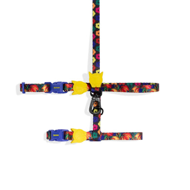 Zee.Cat Harness + Leash Set - Samba