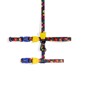 Zee.Cat Harness + Leash Set - Samba