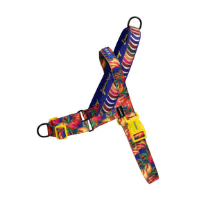 ZeeDog Softer Walk Harness - Samba