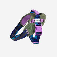 ZeeDog Fly Harness - Reebok Trekk