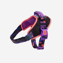 ZeeDog Fly Harness - Reebok Court