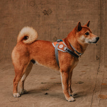 ZeeDog Fly Harness - Reebok Suede