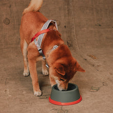 ZeeDog Melamine Bowl - Reebok Suede