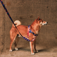 ZeeDog Softer Walk Harness - Reebok Court