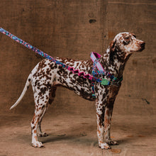 ZeeDog Softer Walk Harness - Reebok Aerobic