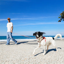 ZeeDog - Long Leash Reebok Aerobic