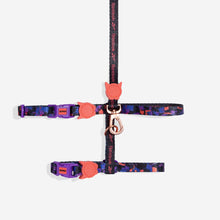 Zee.Cat Harness + Leash Set - Reebok Court