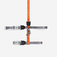 Zee.Cat Harness + Leash Set - Reebok Suede