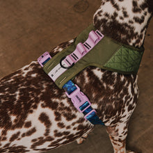 ZeeDog Adjustable Air Mesh Harness - Reebok Trekk