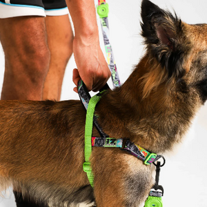 ZeeDog Softer Walk Harness - Lords Of Zee.Town Manifesto