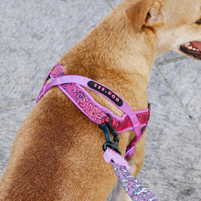 ZeeDog Softer Walk Harness - Lords Of Zee.Town Brain