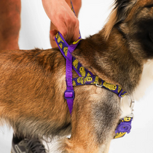 ZeeDog Softer Walk Harness - Lords Of Zee.Town Zmiley