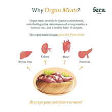 Clearance - Fera Pets - Whole Food Multivitamin for Dogs and Cats (Copy)