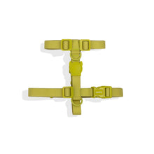 NeoPro Matcha H-Harness