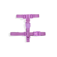 NeoPro Ultra Violet H-Harness