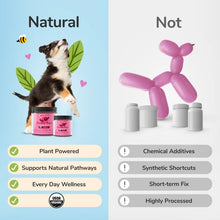 Kin+Kind - Urinary Tract Supplement (formerly Healthy Immunity)