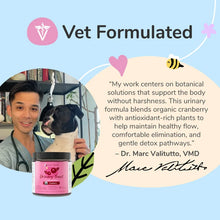 Kin+Kind - Urinary Tract Supplement (formerly Healthy Immunity)