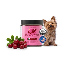 Kin+Kind - Urinary Tract Supplement (formerly Healthy Immunity)