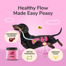 Kin+Kind - Urinary Tract Supplement (formerly Healthy Immunity)