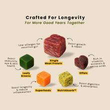 FrashFresh Raw Dog Food with NutriAbsorb™ (Low-Allergen Beef)