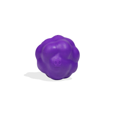 ZeeDog H3D Ball Toy