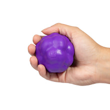ZeeDog H3D Ball Toy