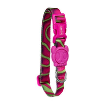 ZeeDog Dog Collar - H3D Jelly