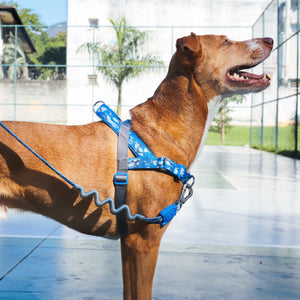ZeeDog Softer Walk Harness - H3D Fly