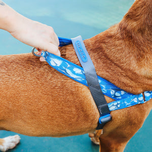 ZeeDog Softer Walk Harness - H3D Fly