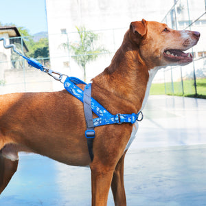 ZeeDog Softer Walk Harness - H3D Fly