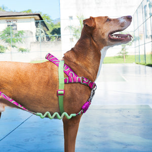 ZeeDog Softer Walk Harness - H3D Jelly
