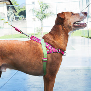 ZeeDog Softer Walk Harness - H3D Jelly