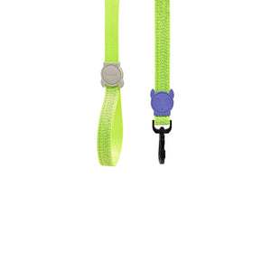 ZeeDog Nox Lumen Leash