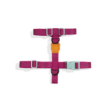 ZeeDog Nox Sidus H-Harness