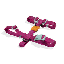 ZeeDog Nox Sidus H-Harness