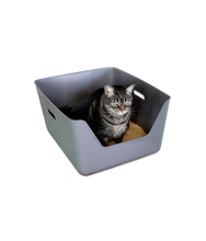 CDSG - Cat Litter Box | Grey