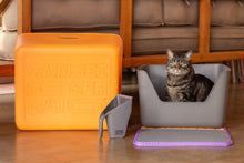 CDSG - Cat Litter Box | Orange