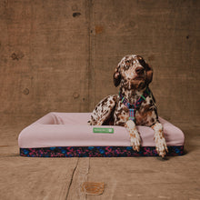 Zee.Bed - Reebok Aerobic