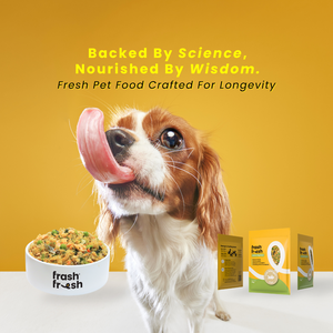 FrashFresh Cooked Dog Food with NutriAbsorb™ (Low-Allergen Fish)