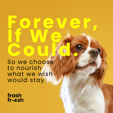 FrashFresh Cooked Dog Food with NutriAbsorb™ (Low-Allergen Fish)