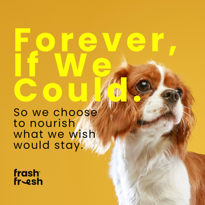 FrashFresh Cooked Dog Food with NutriAbsorb™ (Low-Allergen Fish)